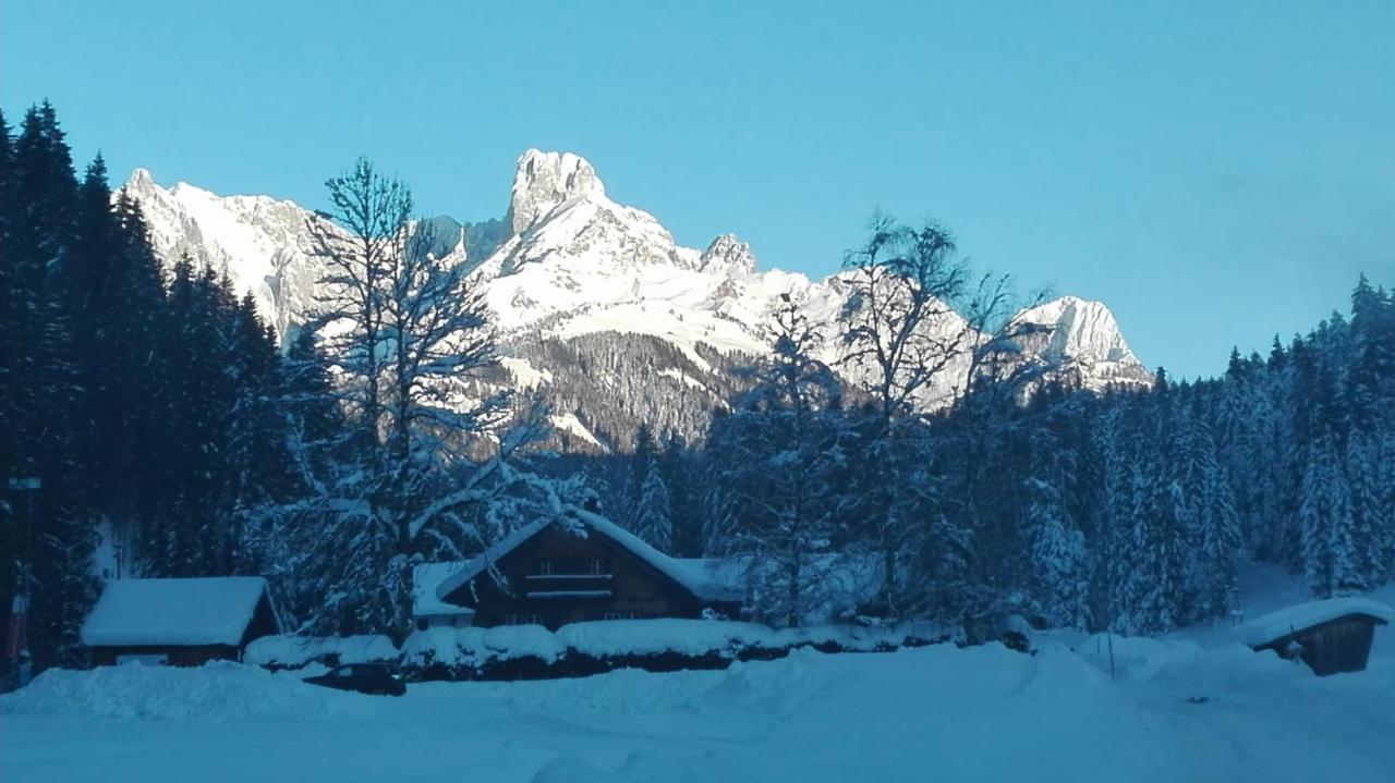 Ferienwohnung Wohlesser Annaberg im Lammertal Exterior foto